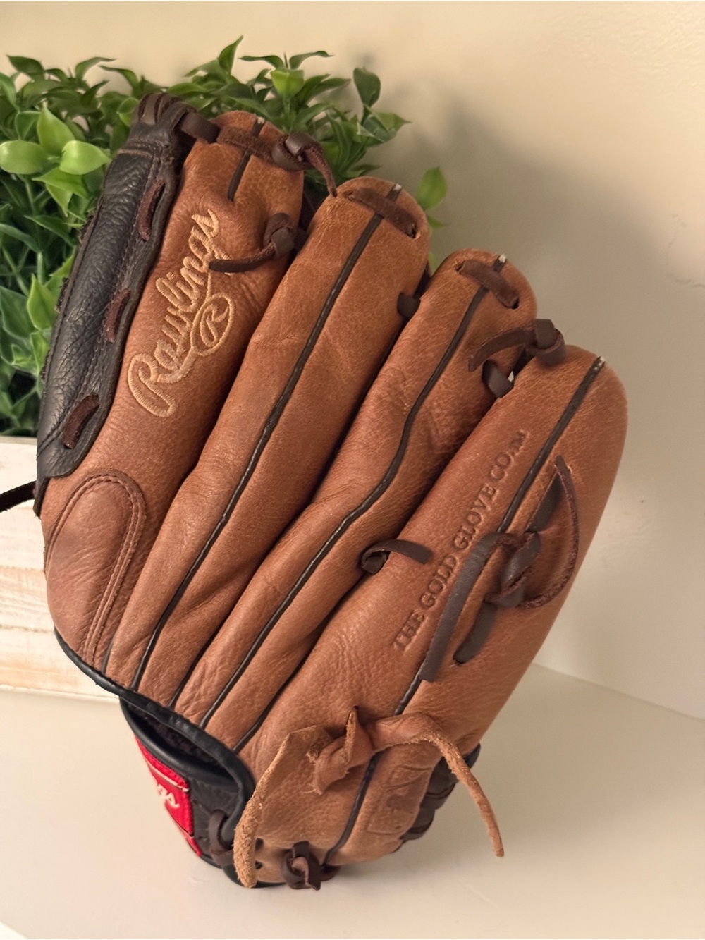 Rawlings Premium Series 11.5 Youth Left Hand Throw Baseball Glove LHT D115BBDBPT